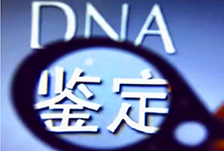 温州司法DNA鉴定详细流程，司法DNA鉴定采集哪些样本
