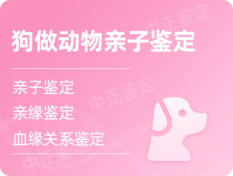 温州狗做动物亲子鉴定