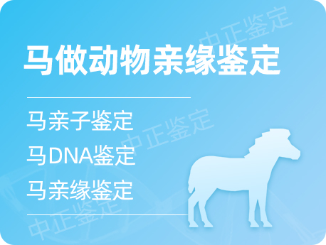 温州马做动物亲缘鉴定