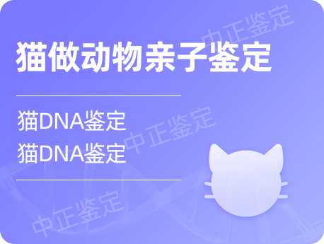 温州猫做动物亲子鉴定