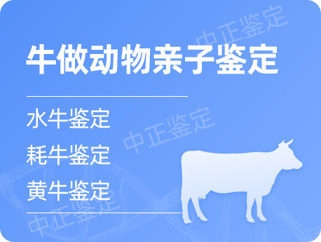 温州牛做动物亲子鉴定