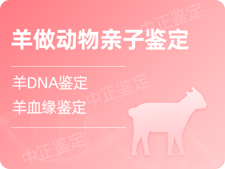 温州羊做动物亲缘鉴定