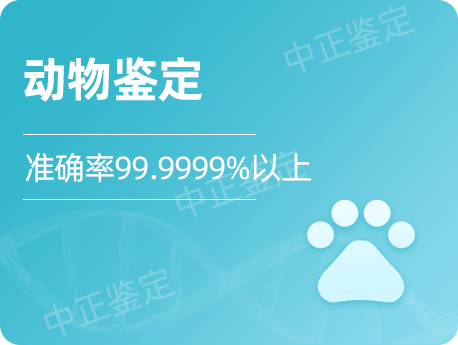 温州动物鉴定